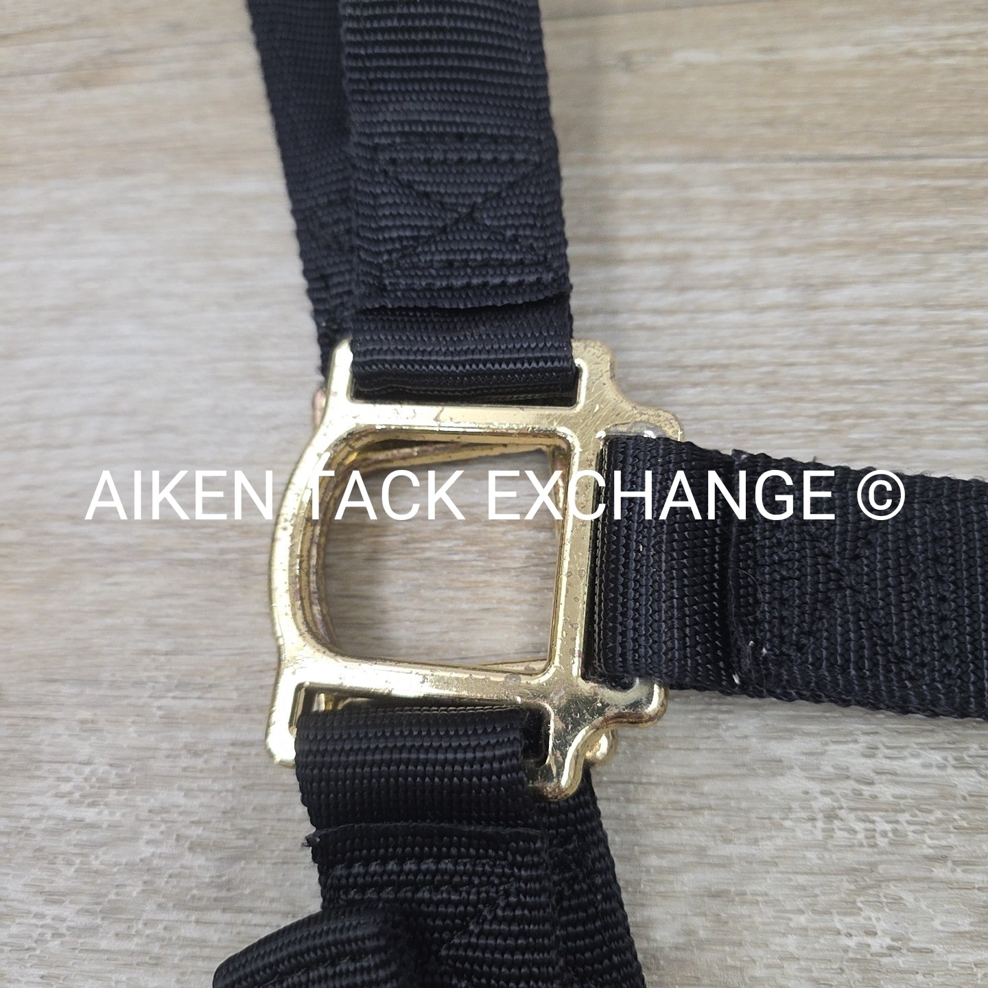 Weaver Leather Halter, Draft