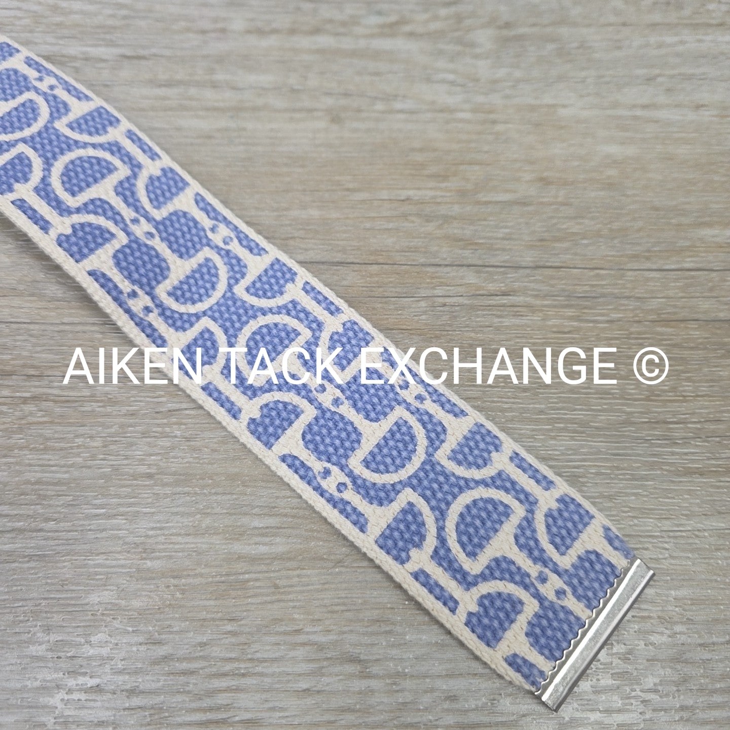 Ribbon Belt