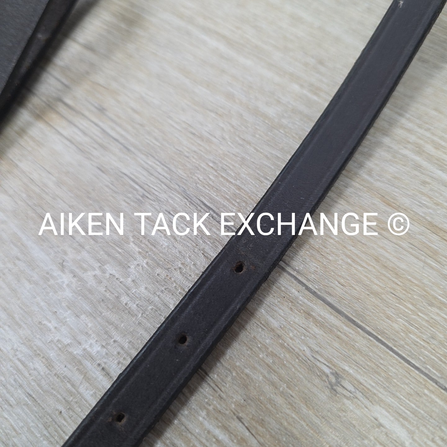 Plain Raised Standing Martingale, Brown, Size Cob