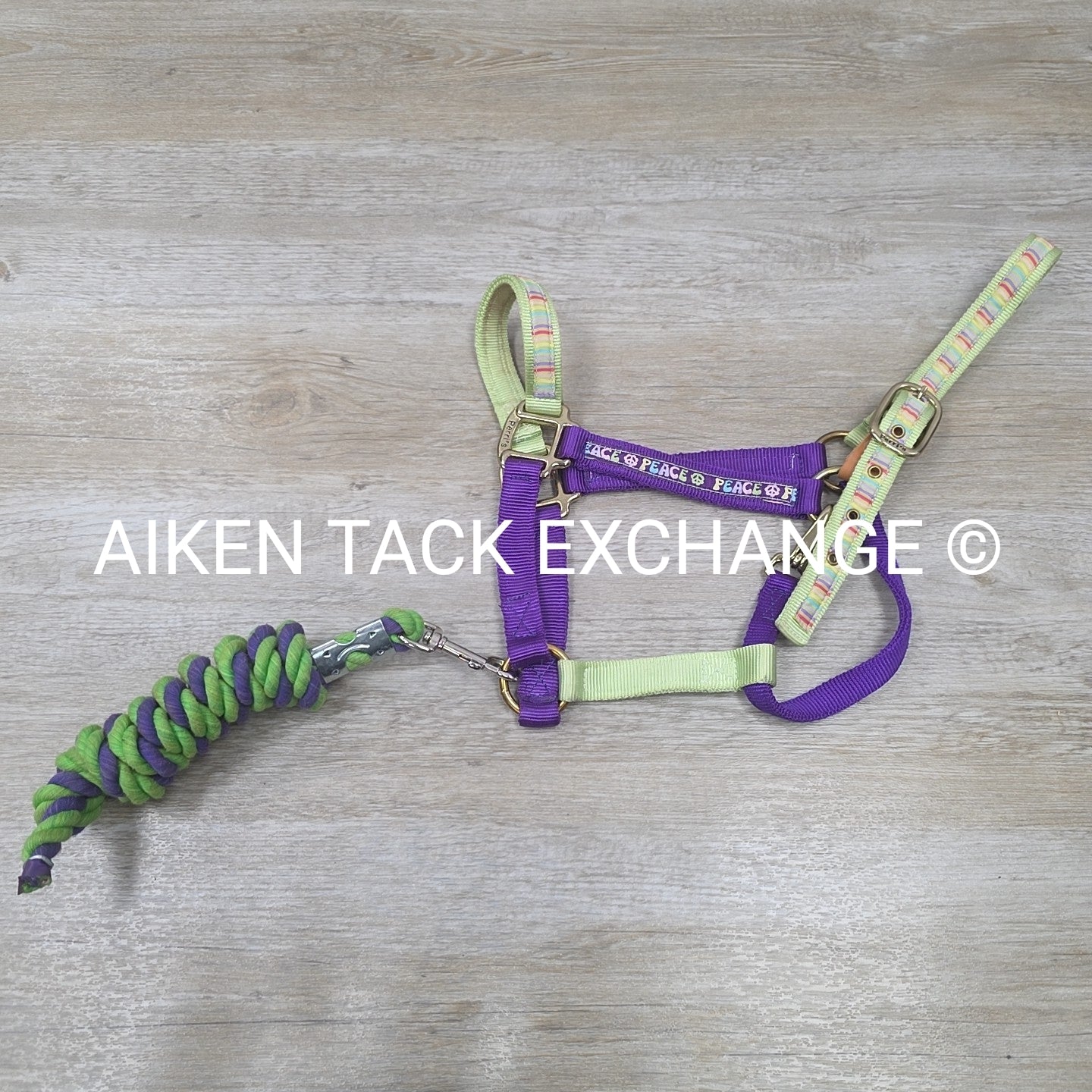 Perri's Nylon Breakaway Halter w/ Cotton Lead Rope, Size Cob