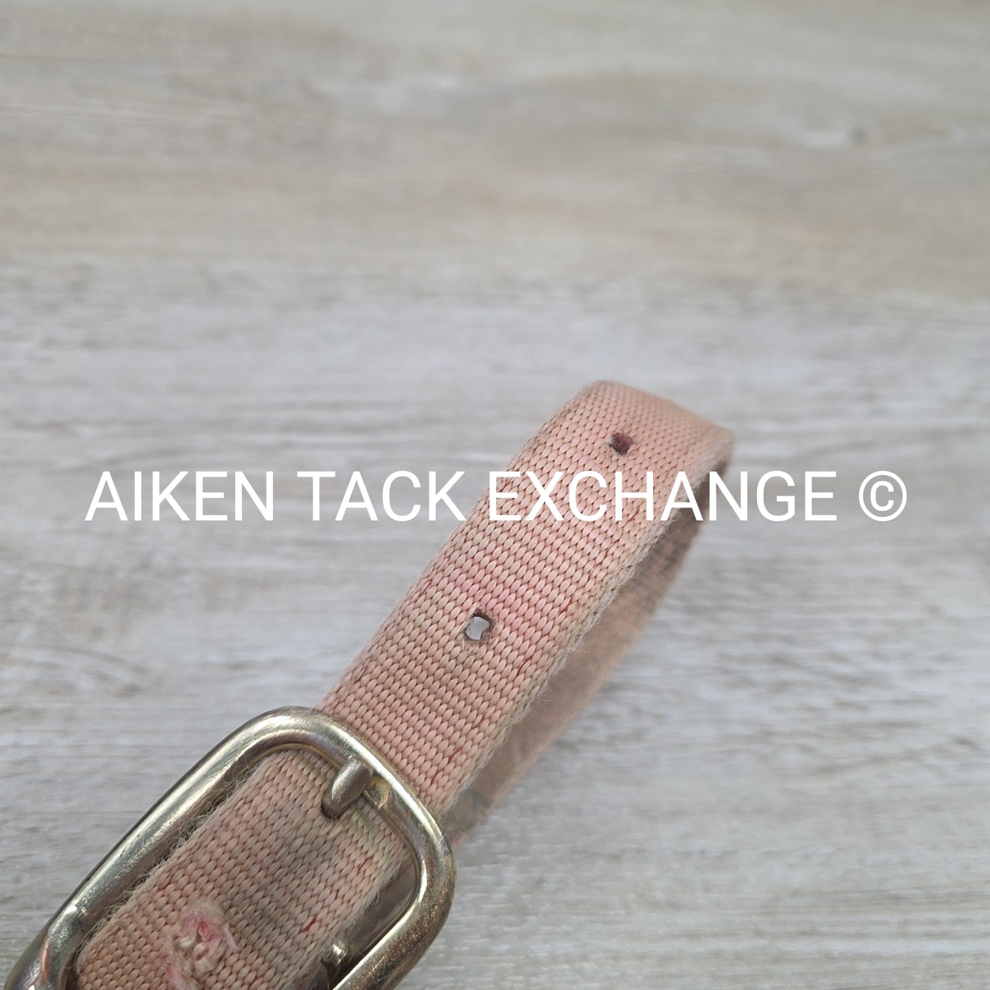 BARGAIN BUNDLE: Nylon Halter, Size Small with Lead Rope