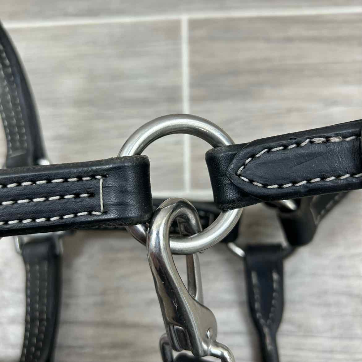 Green Hill Collection Leather Halter with Matching Lead, Size Foal / Mini