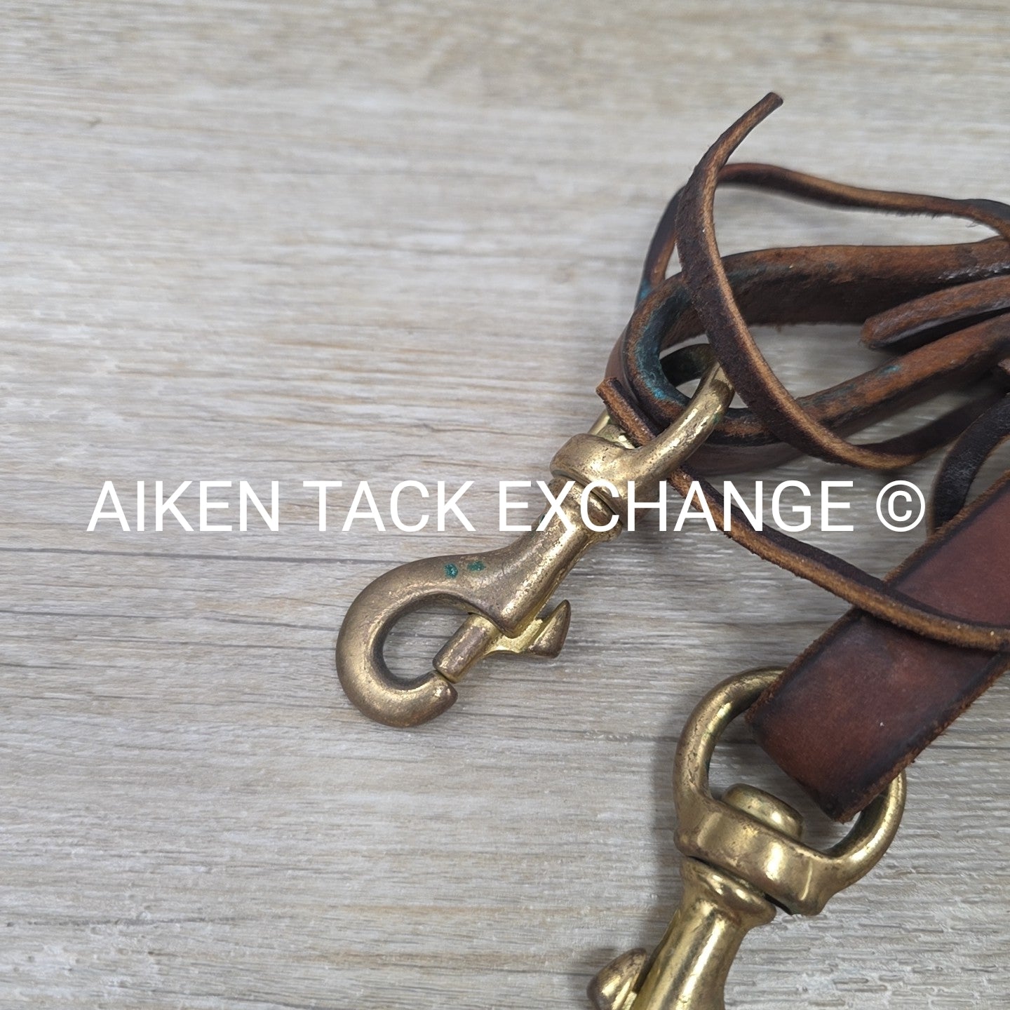Gene Lemmons Leather Reins with Snap Ends