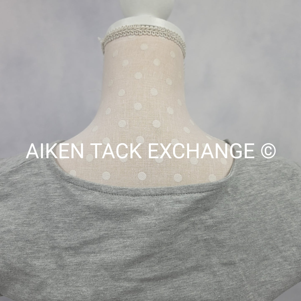 Venus T-Shirt Dress, Size X-Small