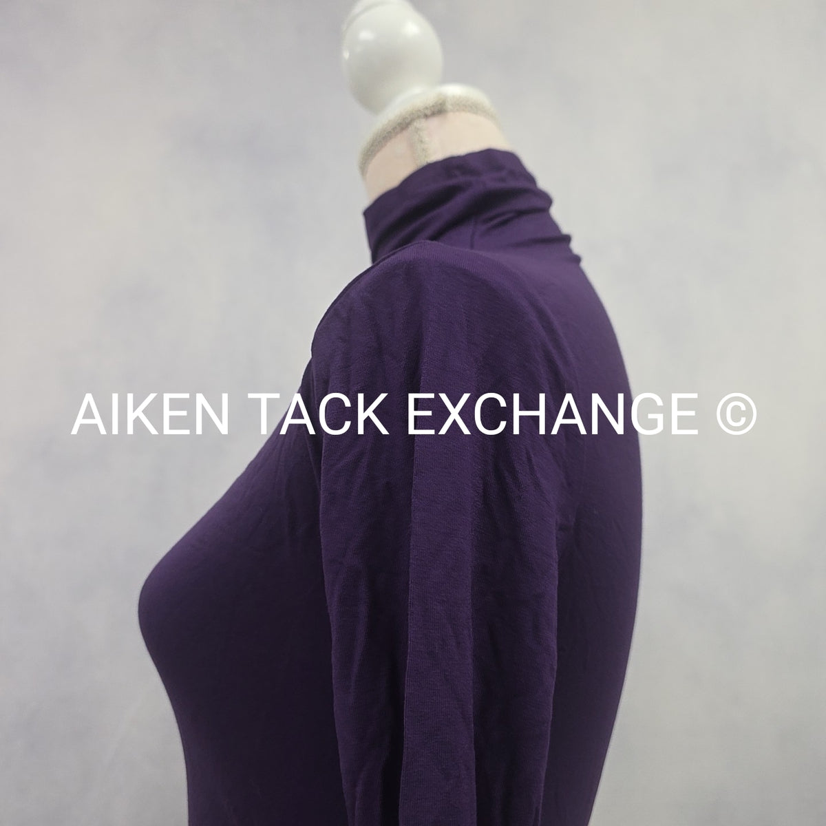 Venus Long Sleeve Dress, Size X-Small
