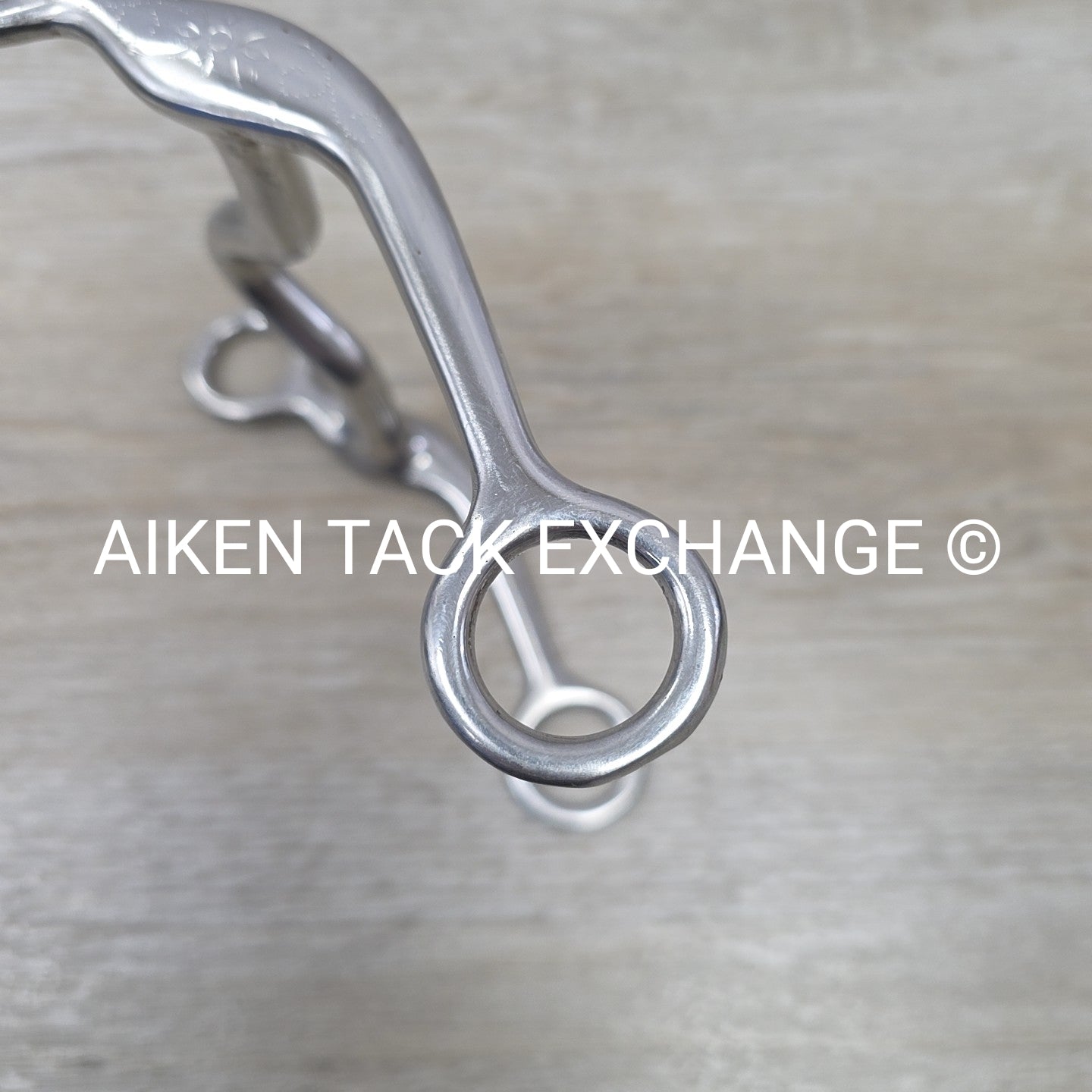 Ported Mullen Mouth Shanked Bit 5"