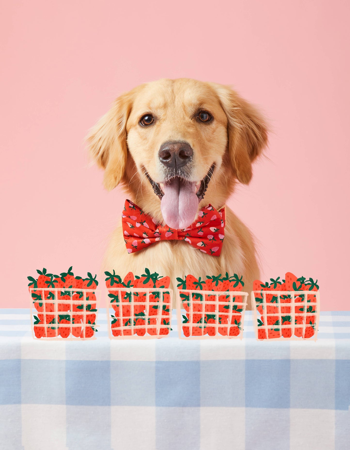 The Foggy Dog - Berry Sweet Dog Bow Tie: Large