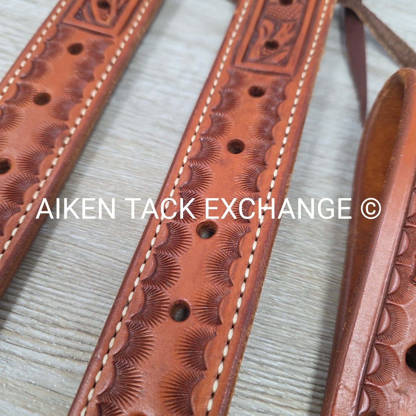 Rear Cinch Billets with Extenders