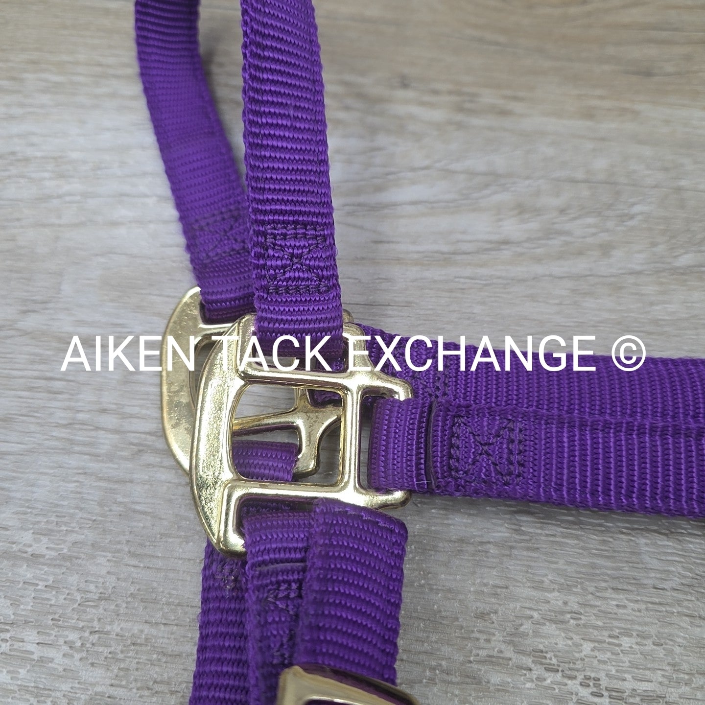 Weaver Leather Nylon Halter, Size Medium Arab