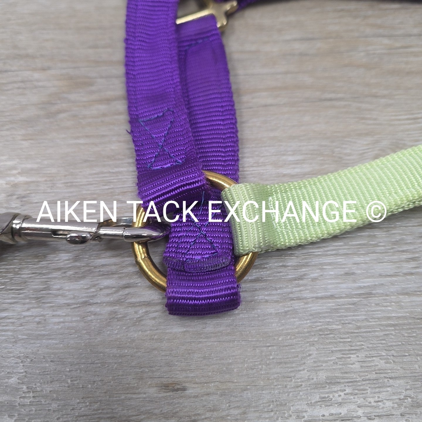 Perri's Nylon Breakaway Halter w/ Cotton Lead Rope, Size Cob