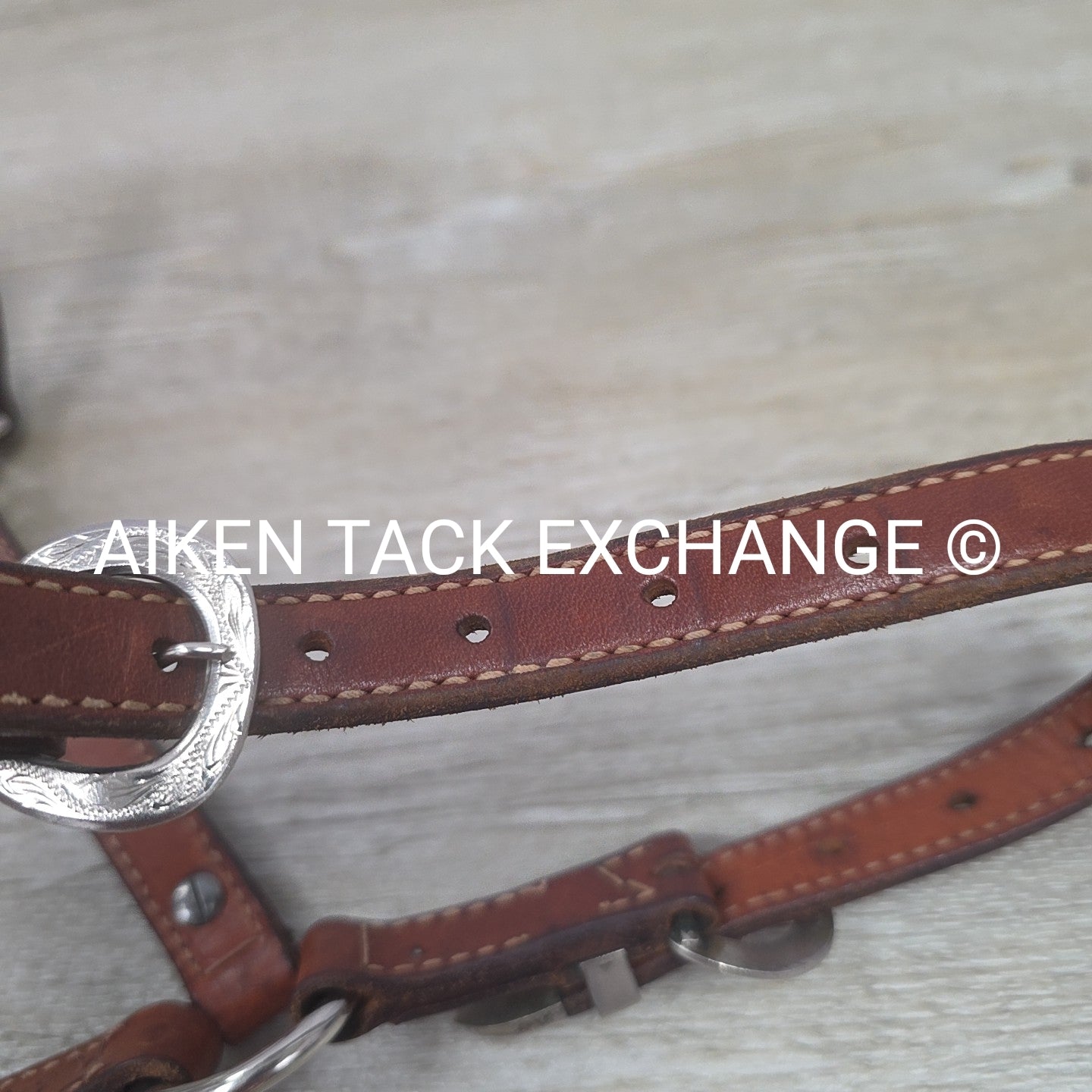Western Show Halter, Size Foal
