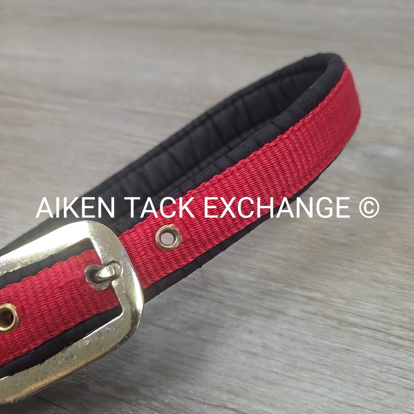 Schneiders Padded Breakaway Halter, Oversize