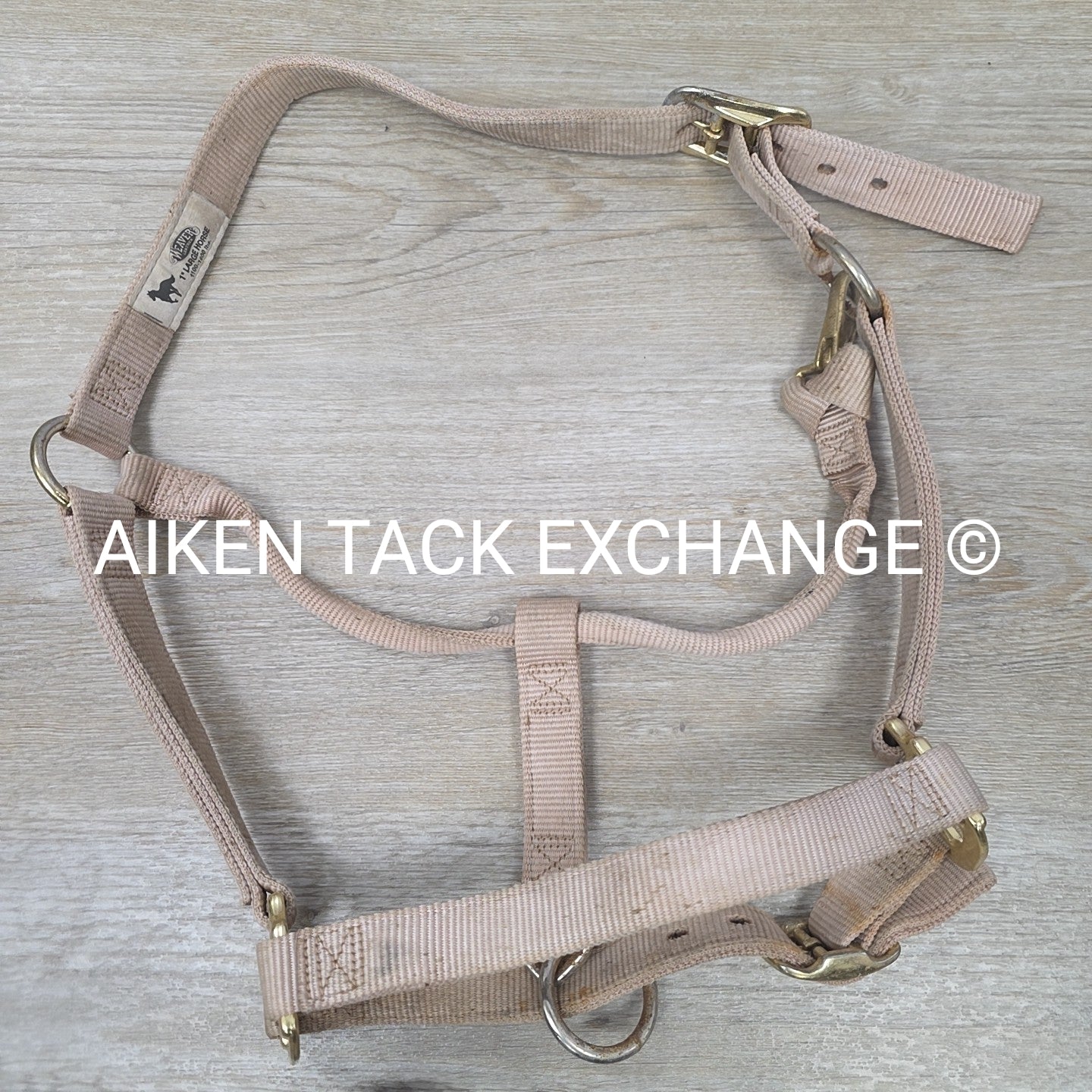 BARGAIN BUNDLE 4 Weaver Leather Nylon Halters, Size Large Horse