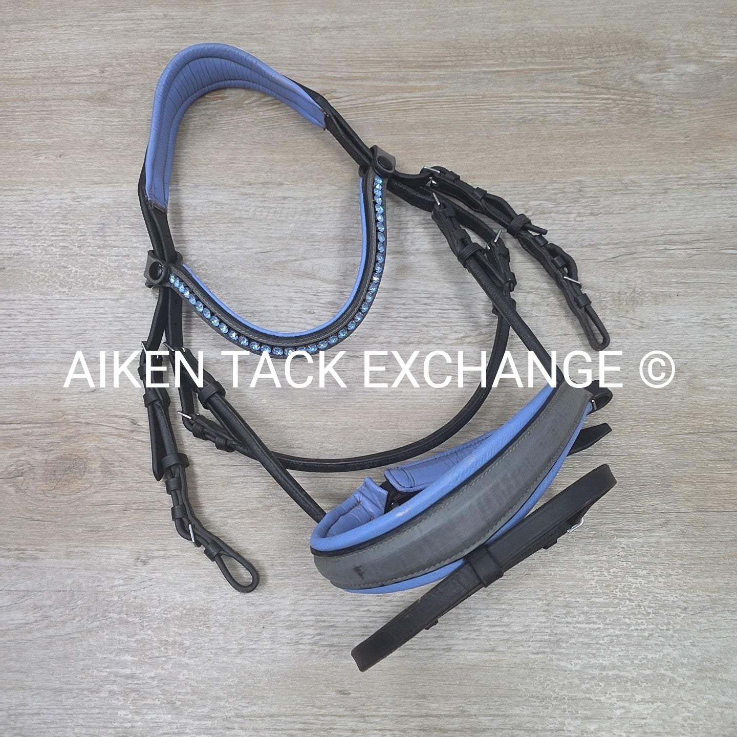 Halter Ego Rolled Dressage Bridle, No Reins, Size Cob