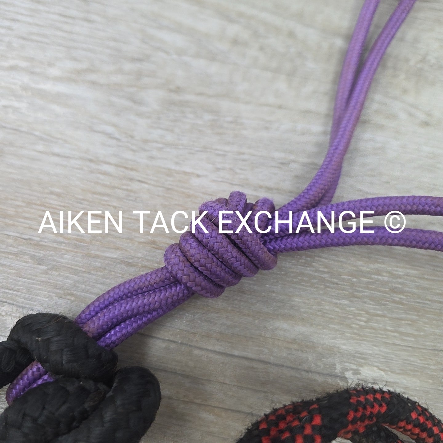BARGAIN BUNDLE: 2 Rope Halters w/ Lead