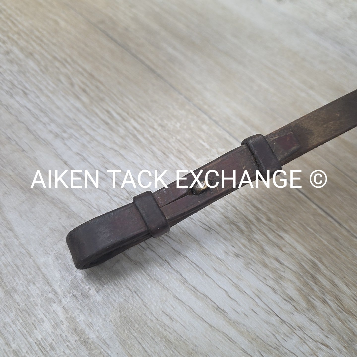 BARGAIN BUNDLE: Bradoon Hanger with Flat Curb Rein
