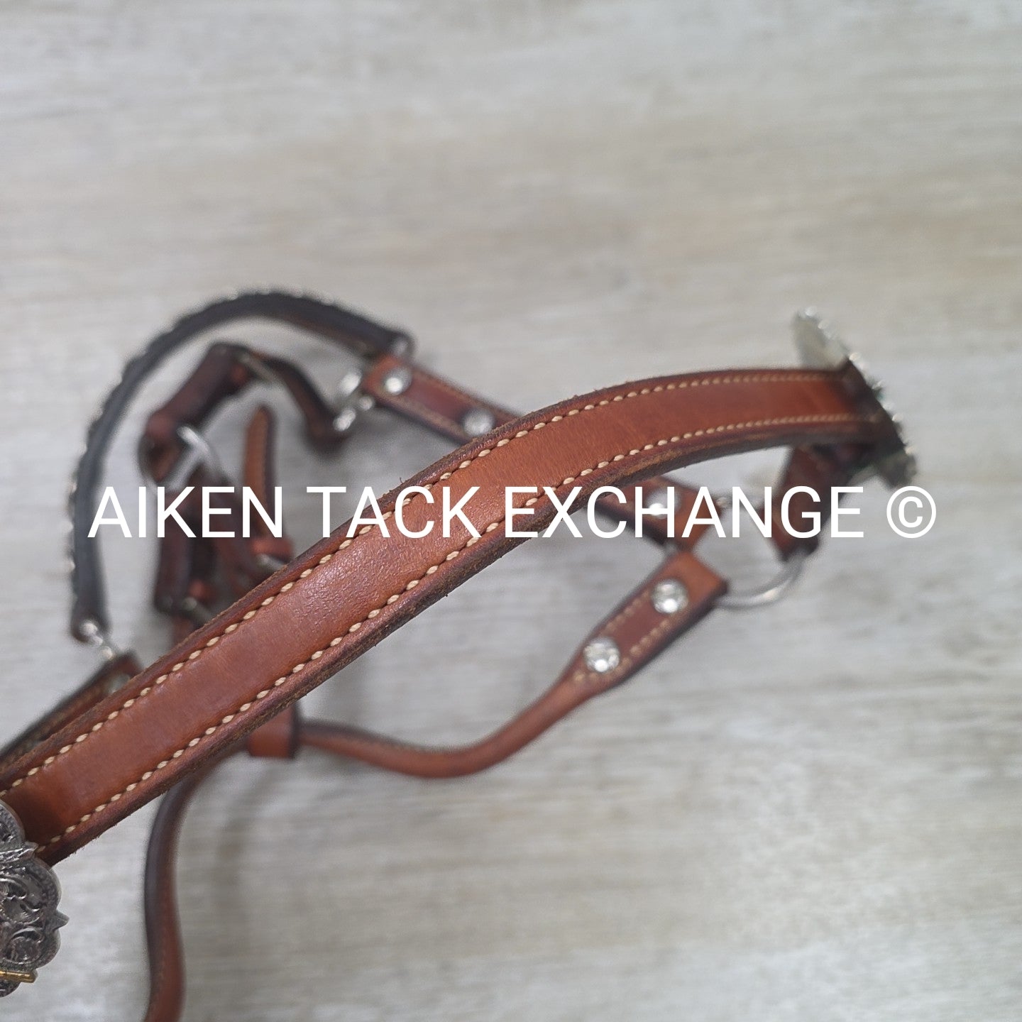 Western Show Halter, Size Foal
