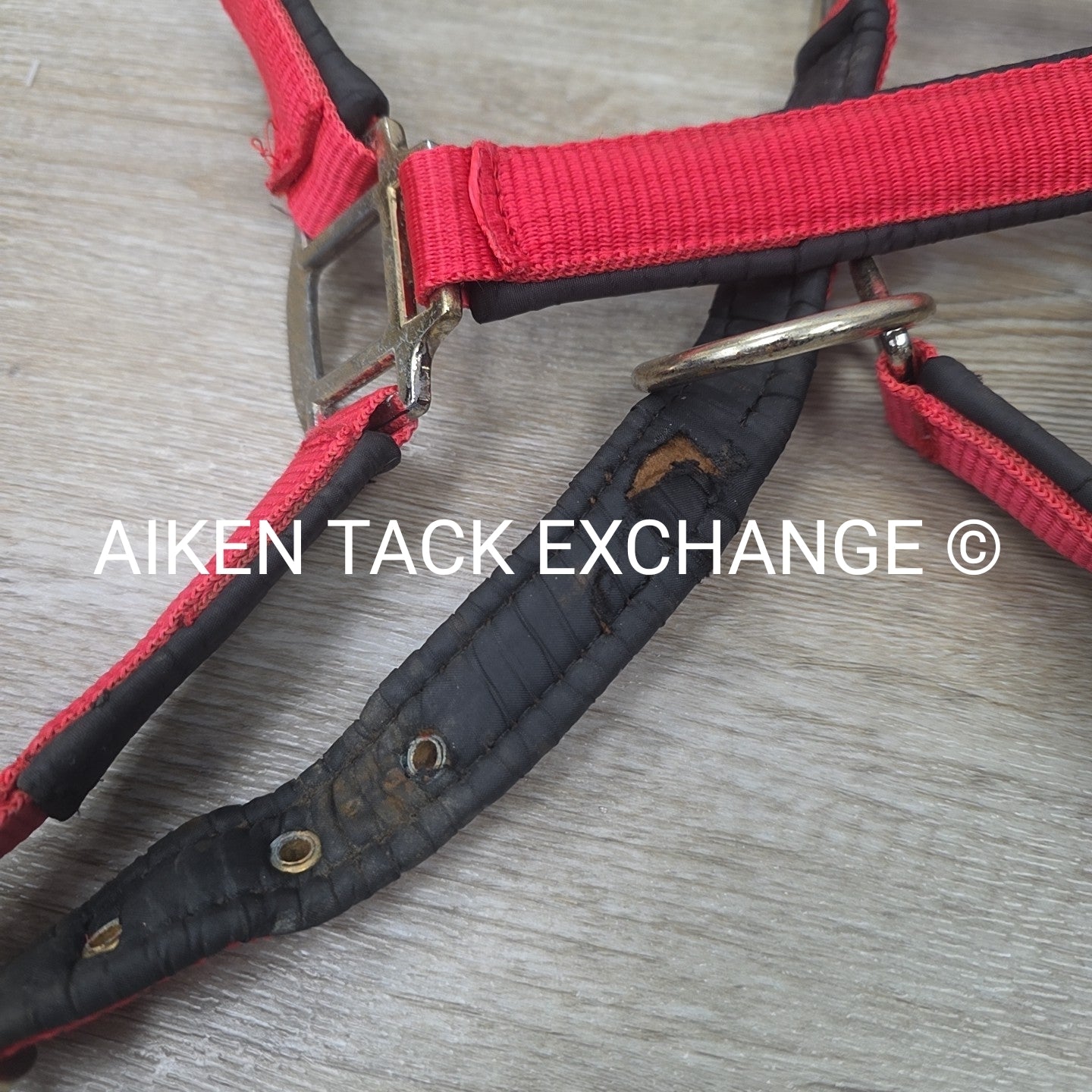 Schneiders Padded Breakaway Halter, Oversize