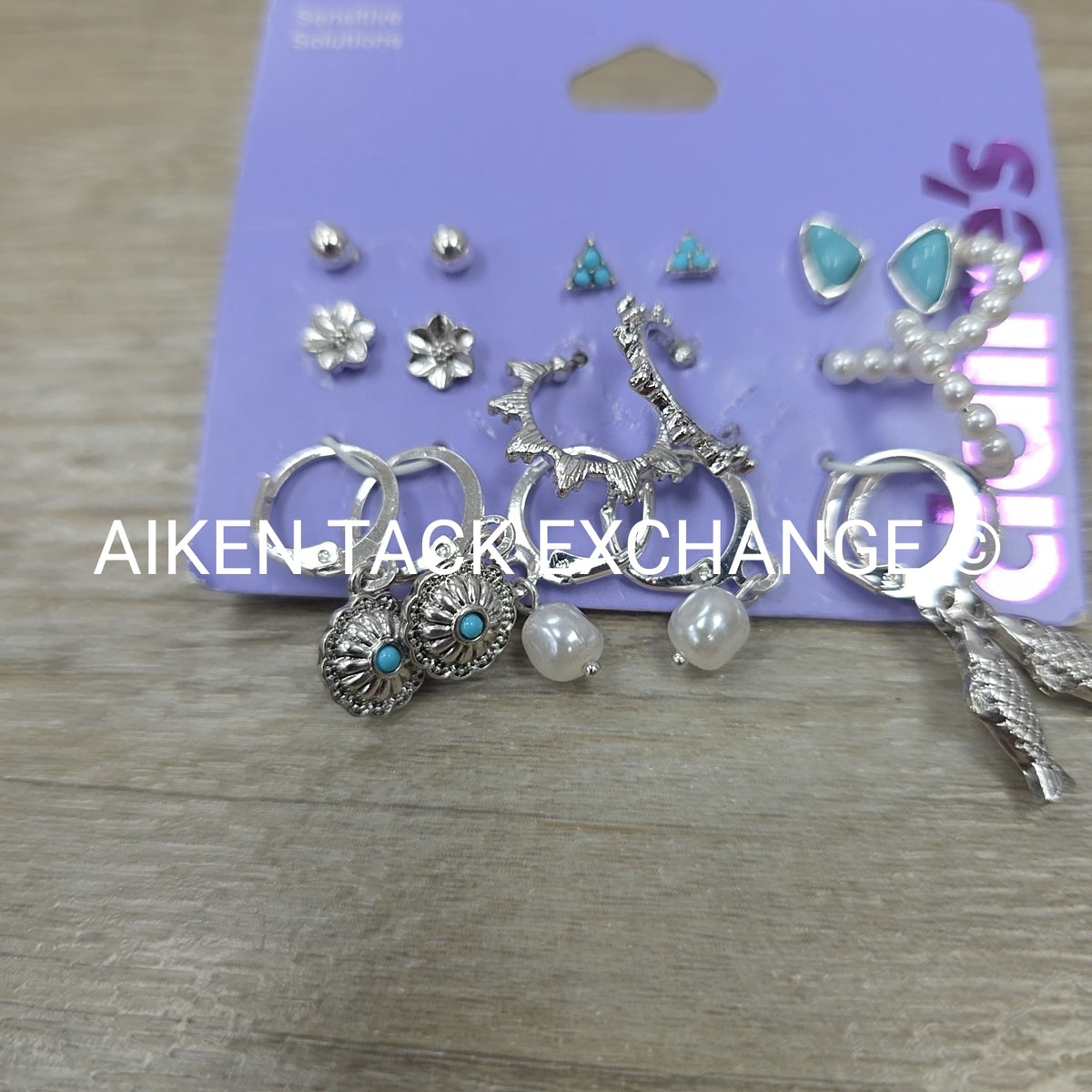 Turquoise Earring Set - 9 Pairs Total