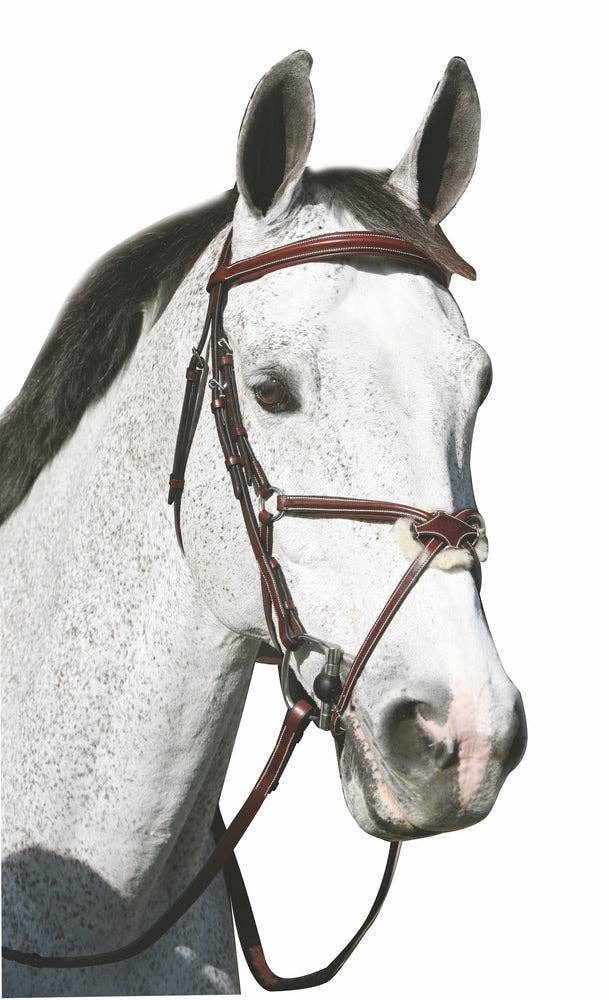 Henri de Rivel Pro Mono Crown Raised Figure Eight Bridle: Australian Nut / Cob