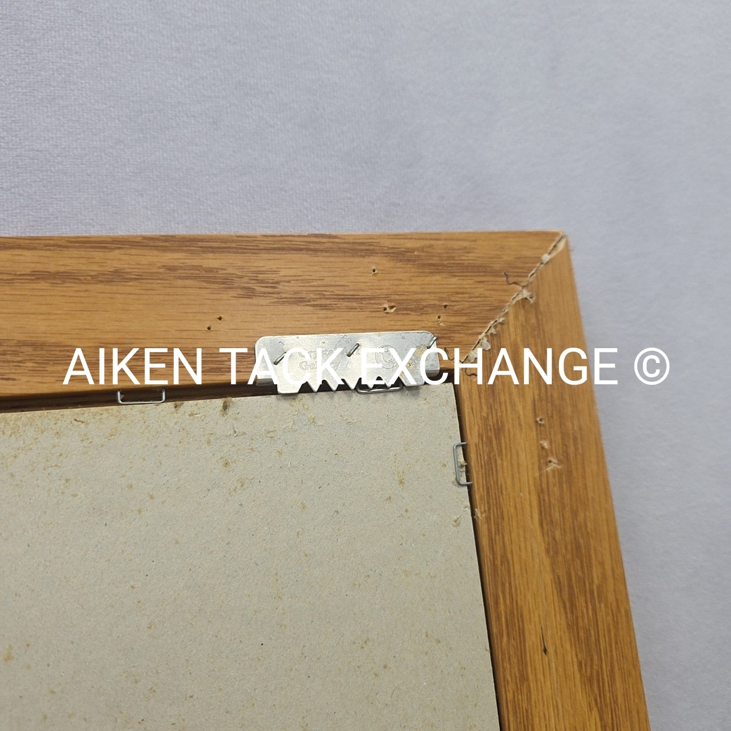 Fox Artwork, 19" x 23.5"