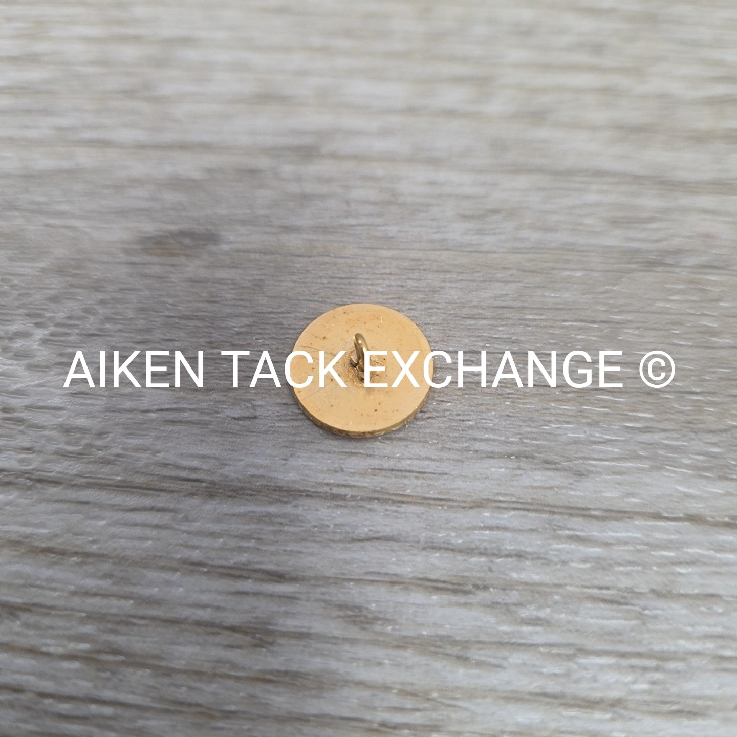 Tryon Hounds Brass Button, Small