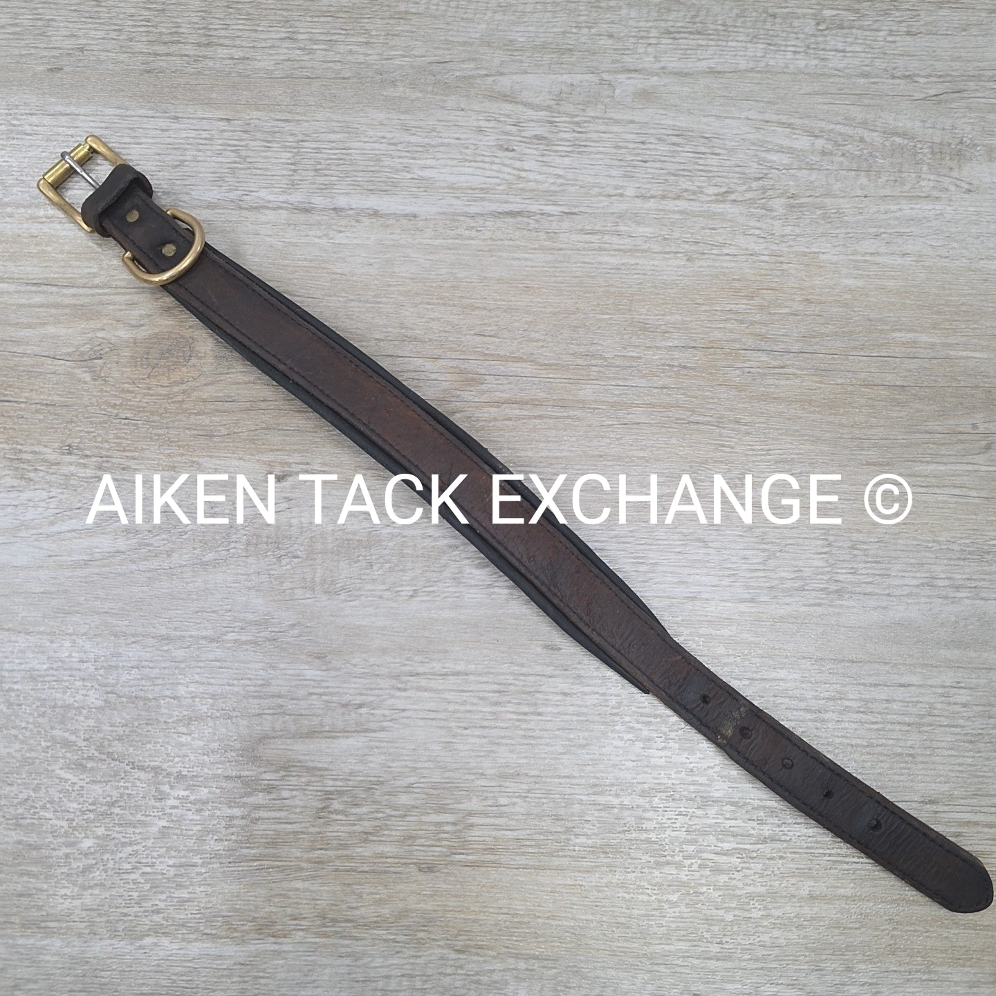 Heavy Duty Leather Padded Dog Collar, 18-22" (has blemishes)