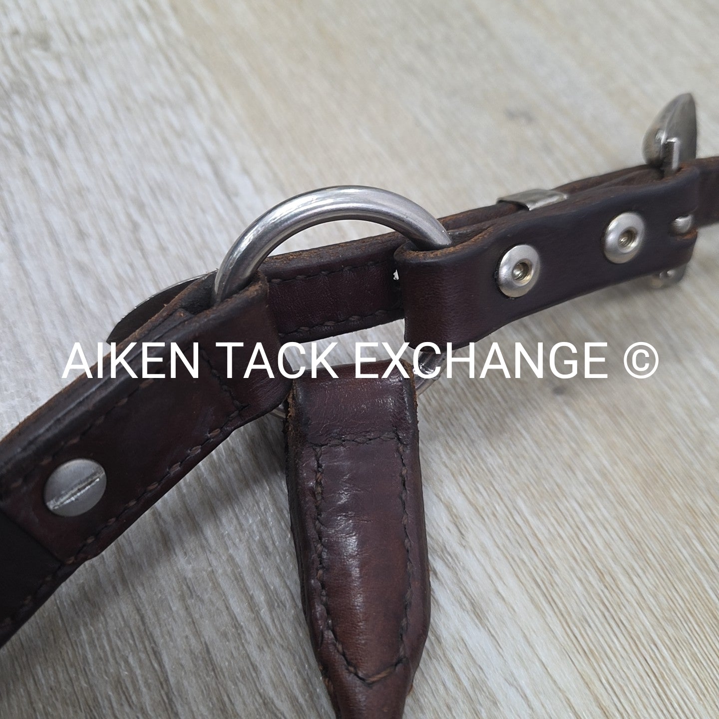 Circle Y Engraved Show Halter with Matching Lead, Size Full