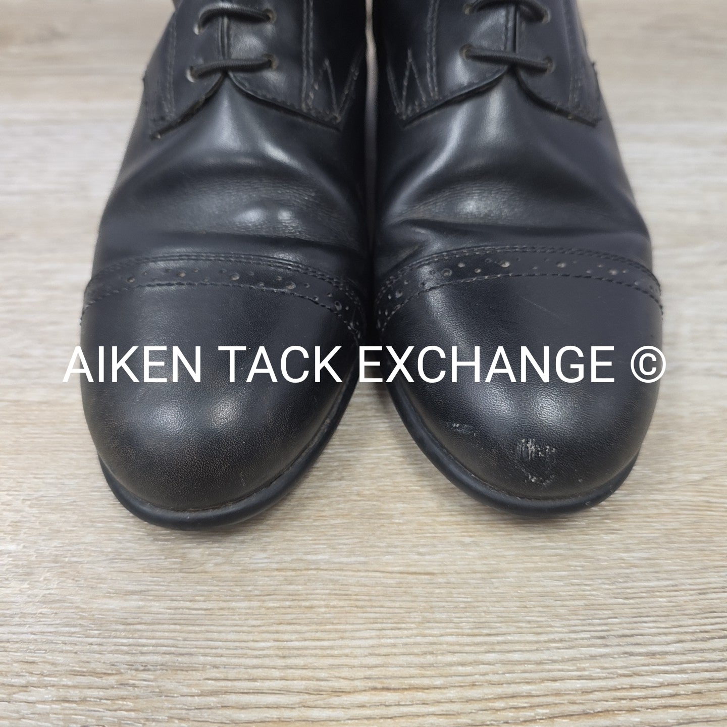 Ariat Crowne Pro Zip Field Boots, Size 6.5, Medium Height, Regular Calf