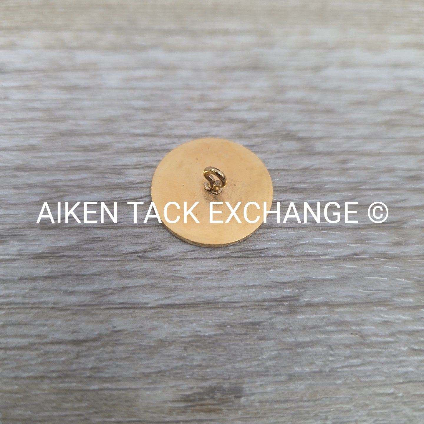 Tryon Hounds Brass Button, Large