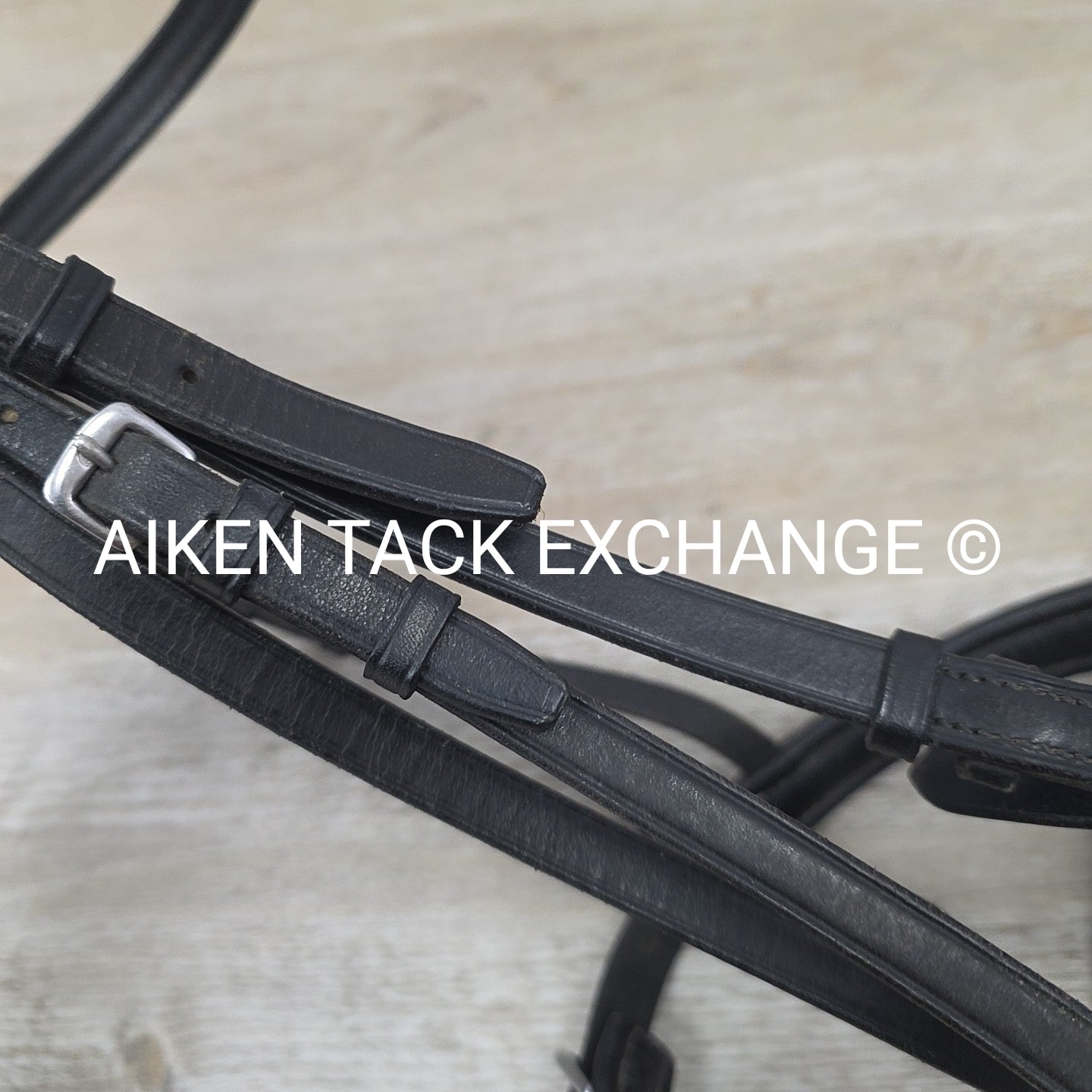 Passier & Sohn Flash Bridle with Cotton Web Reins, Black, Size Full