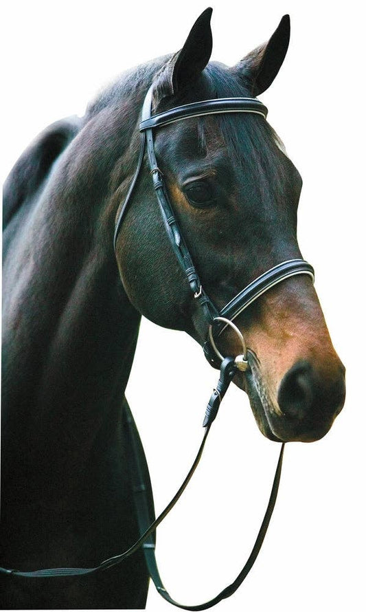Henri de Rivel Pro Padded Dressage Bridle with Web Reins: Black/White / Cob