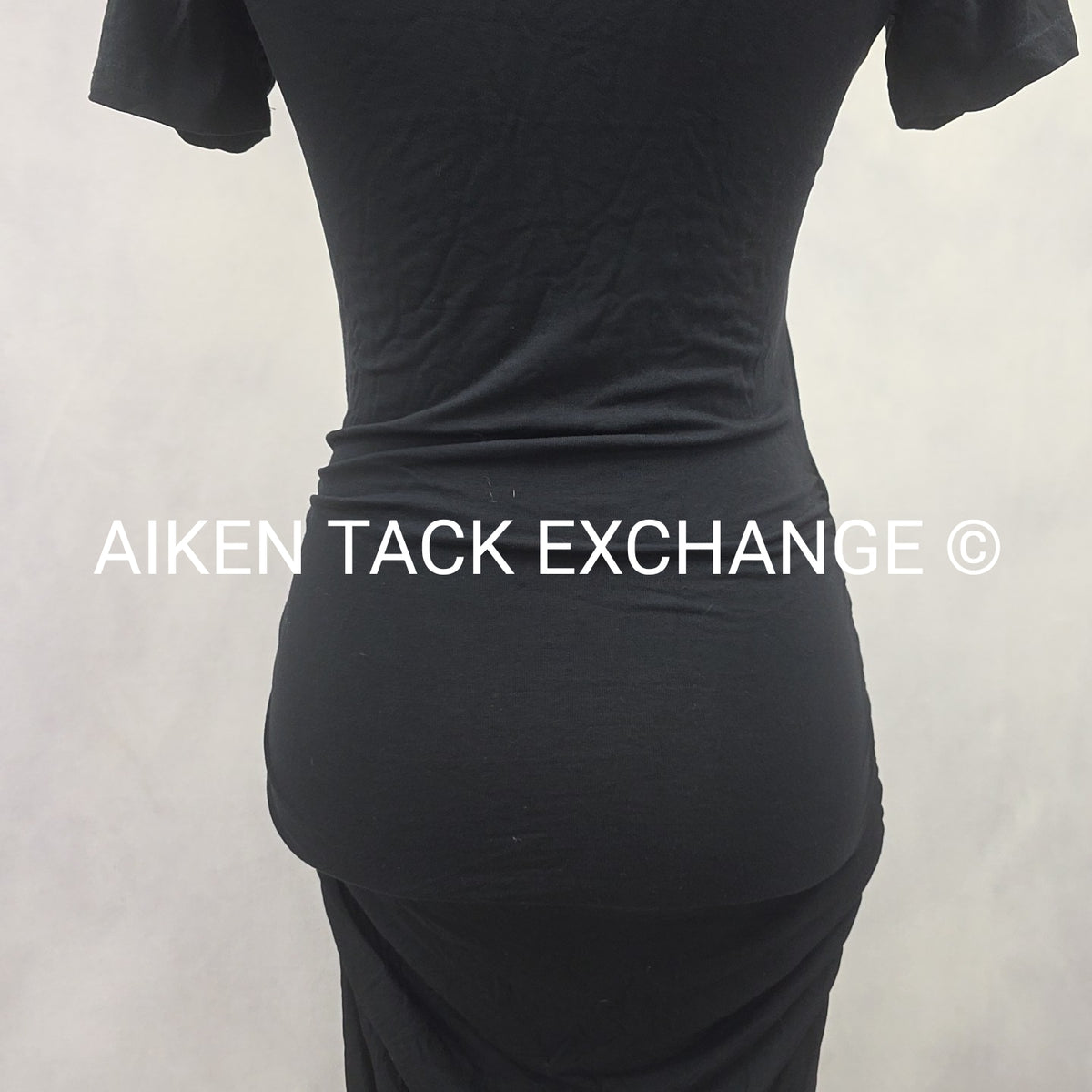 Venus Dress, Size X-Small