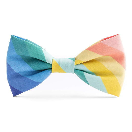 The Foggy Dog - Over the Rainbow St. Patrick's Day Dog Bow Tie: Standard