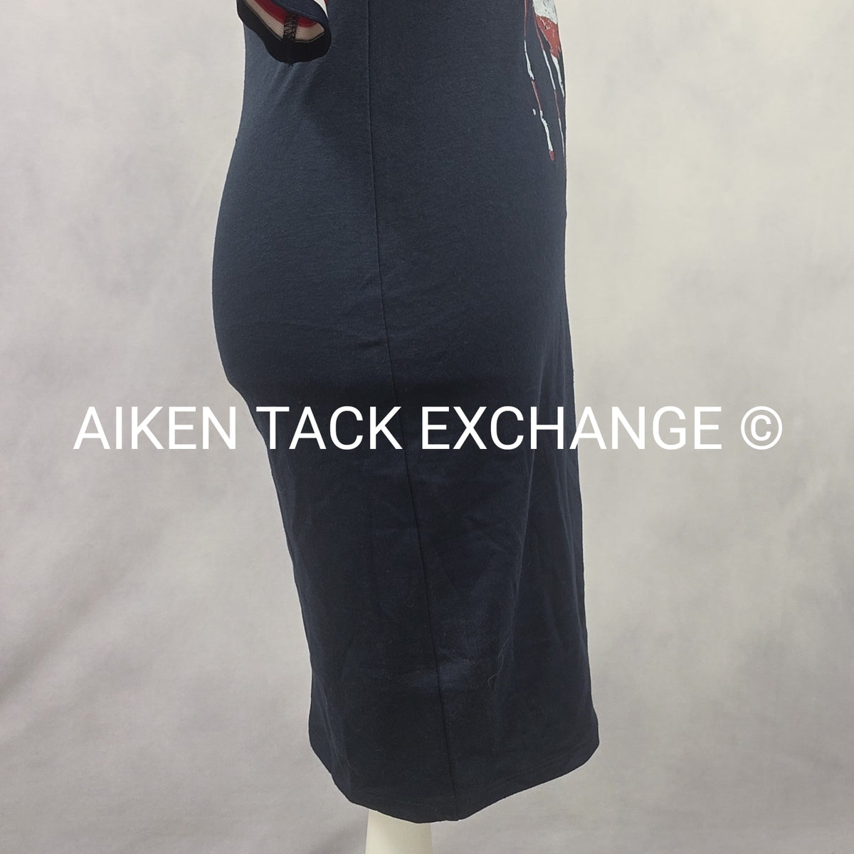 Venus Dress, Size X-Small