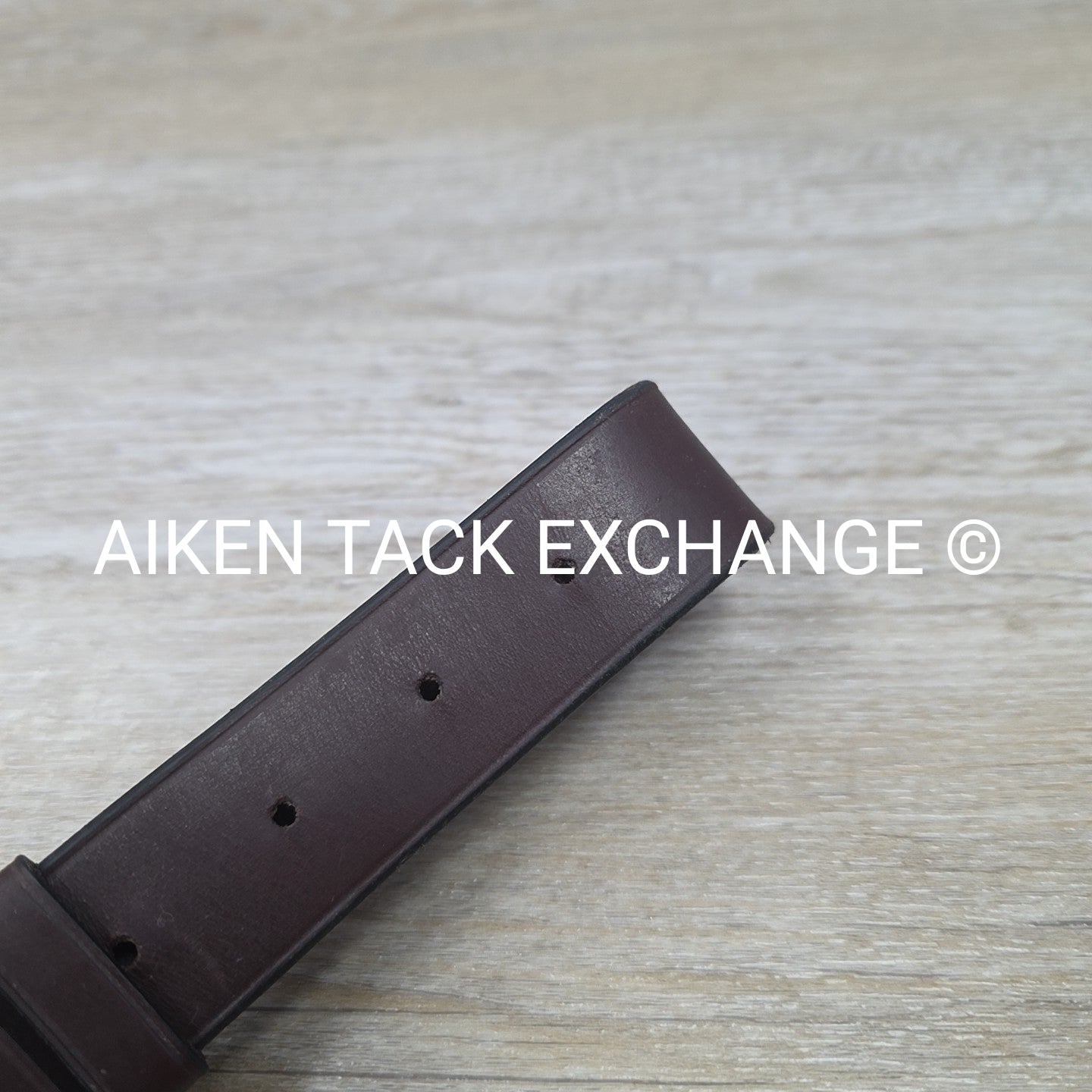 Horse Country First Flight Standing Martingale, Brown, Oversize