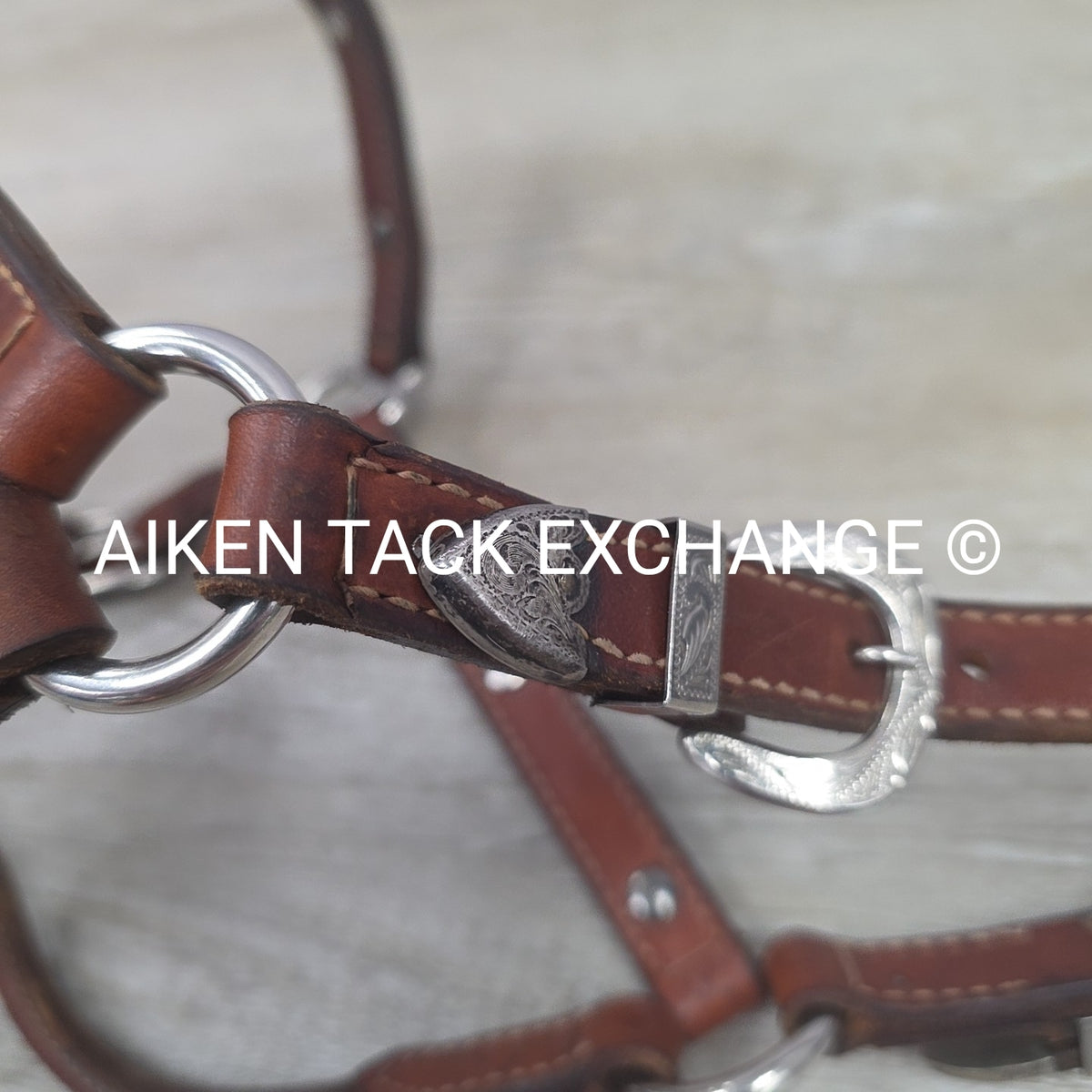 Western Show Halter, Size Foal