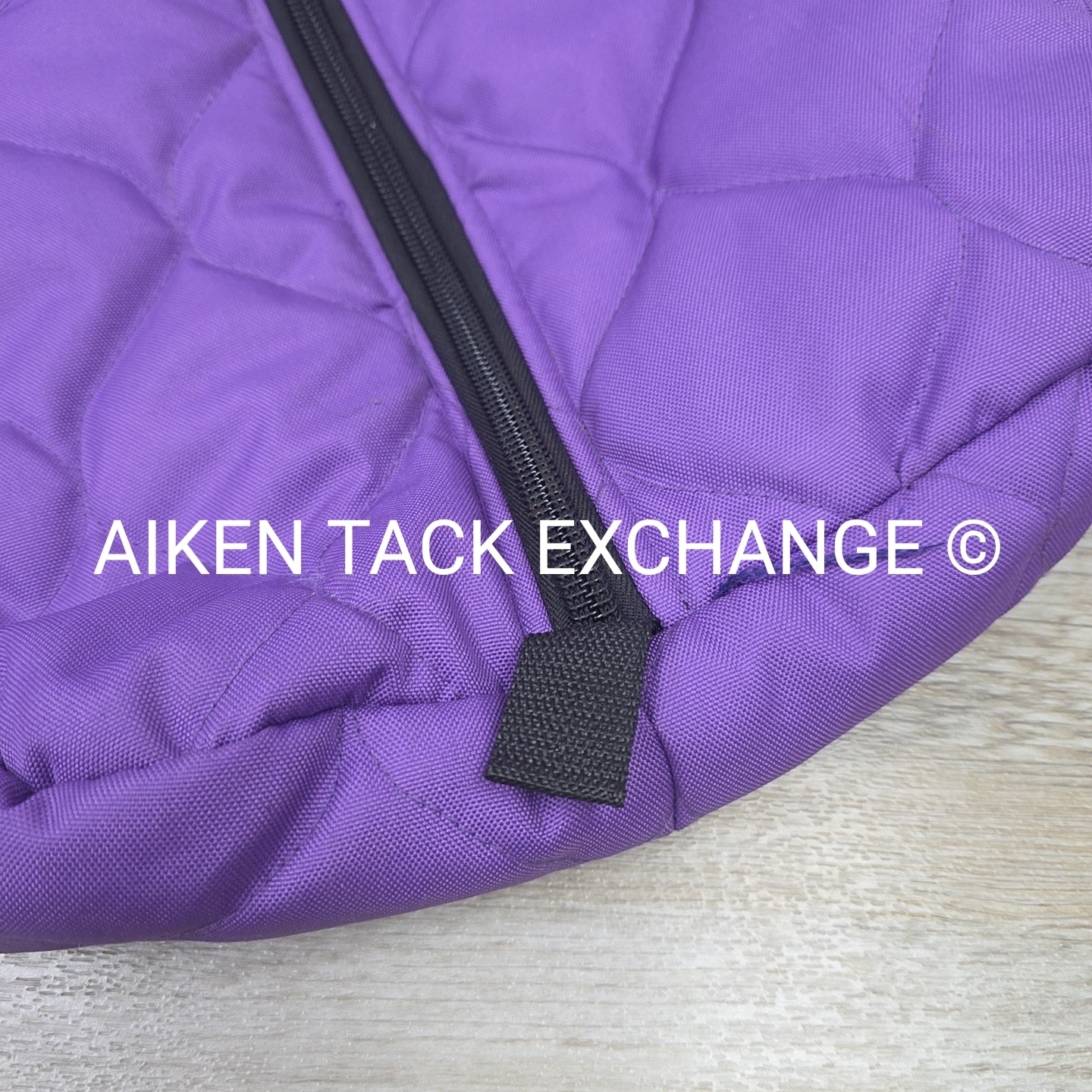 Padded Bridle Bag