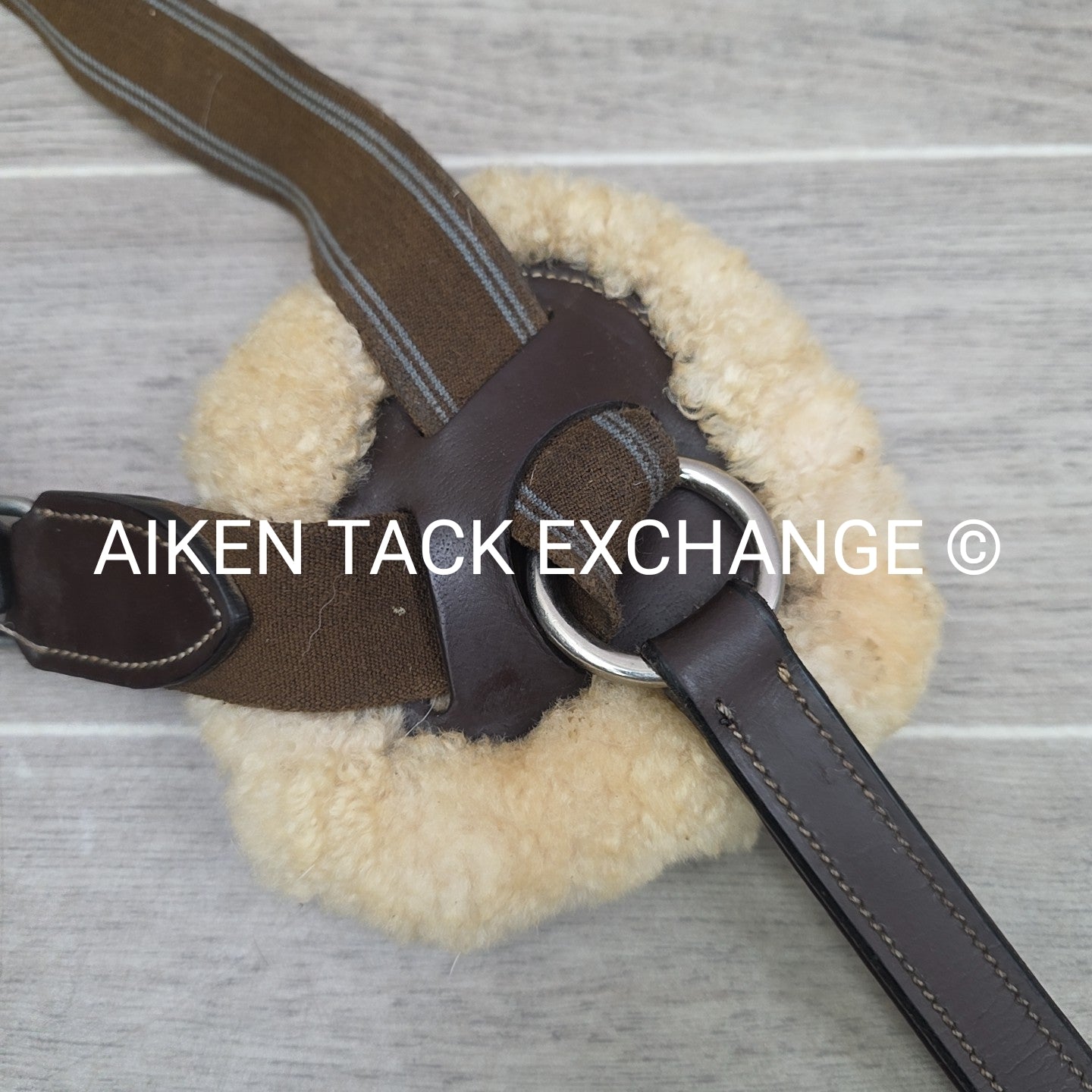 HDR Pro 5 Point Elastic Breastplate, Brown, Size Full