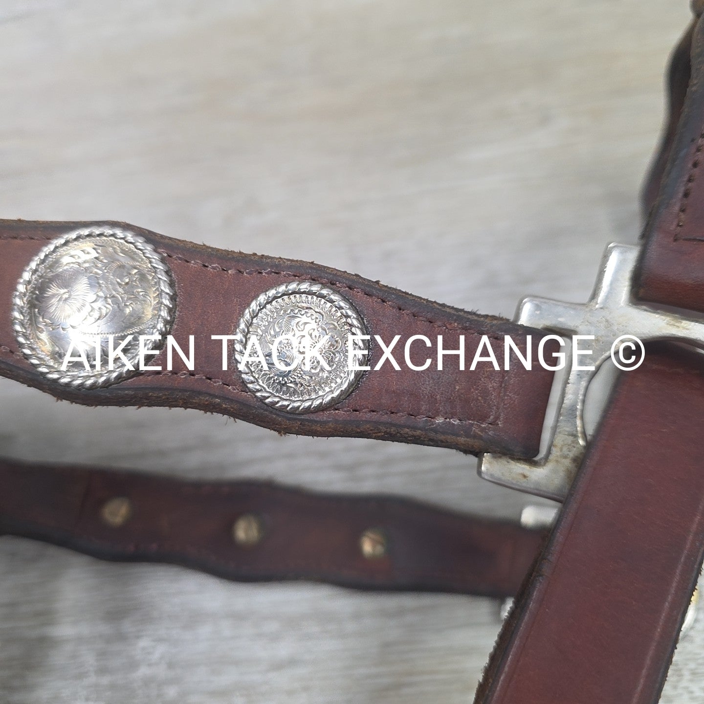Western Show Halter, Size Full