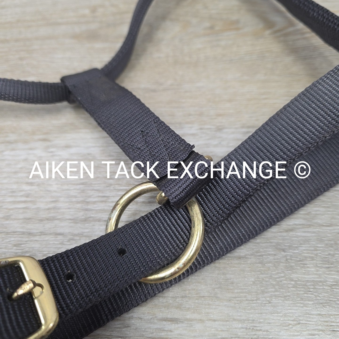 Nylon Halter, Size Medium