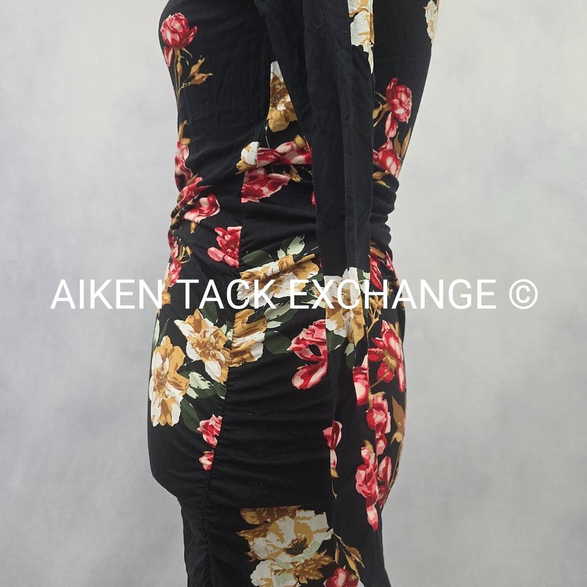 Venus Long Sleeve Dress, Size X-Small