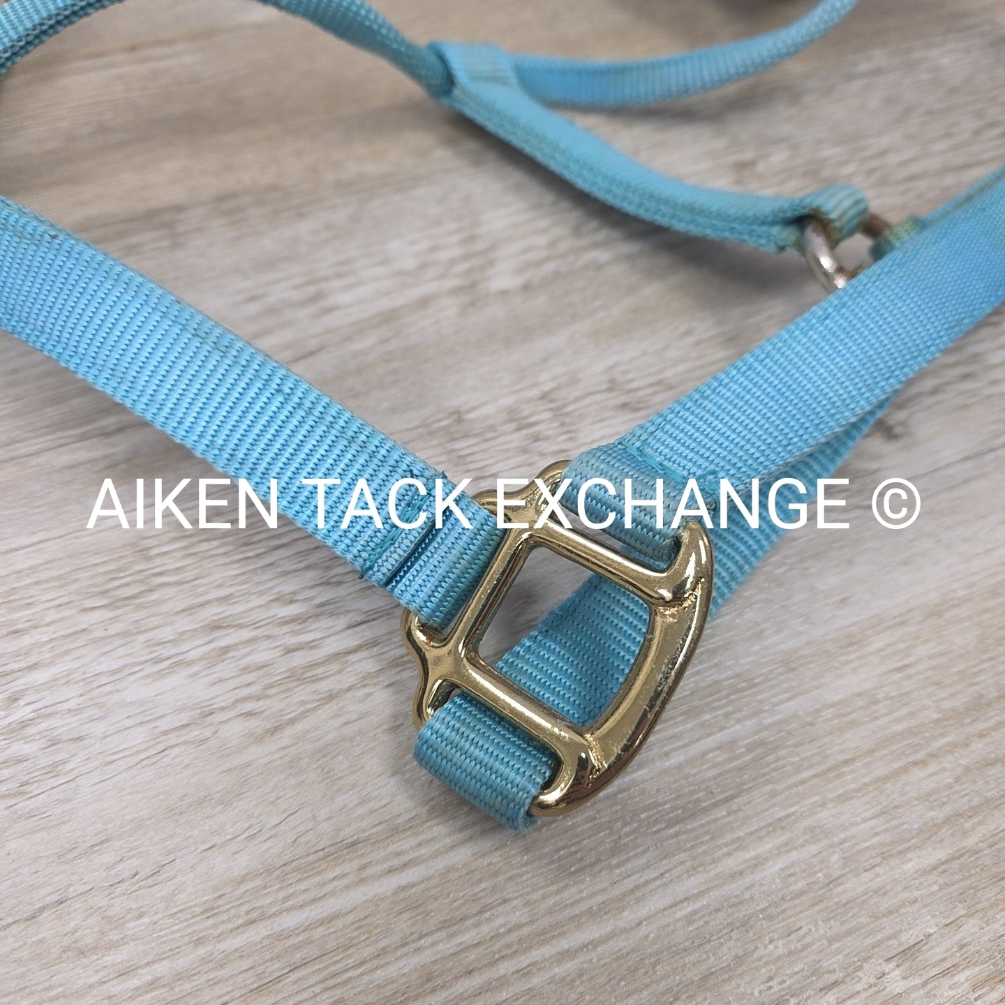 BARGAIN BUNDLE: 3 Nylon Halters, Various Sizes