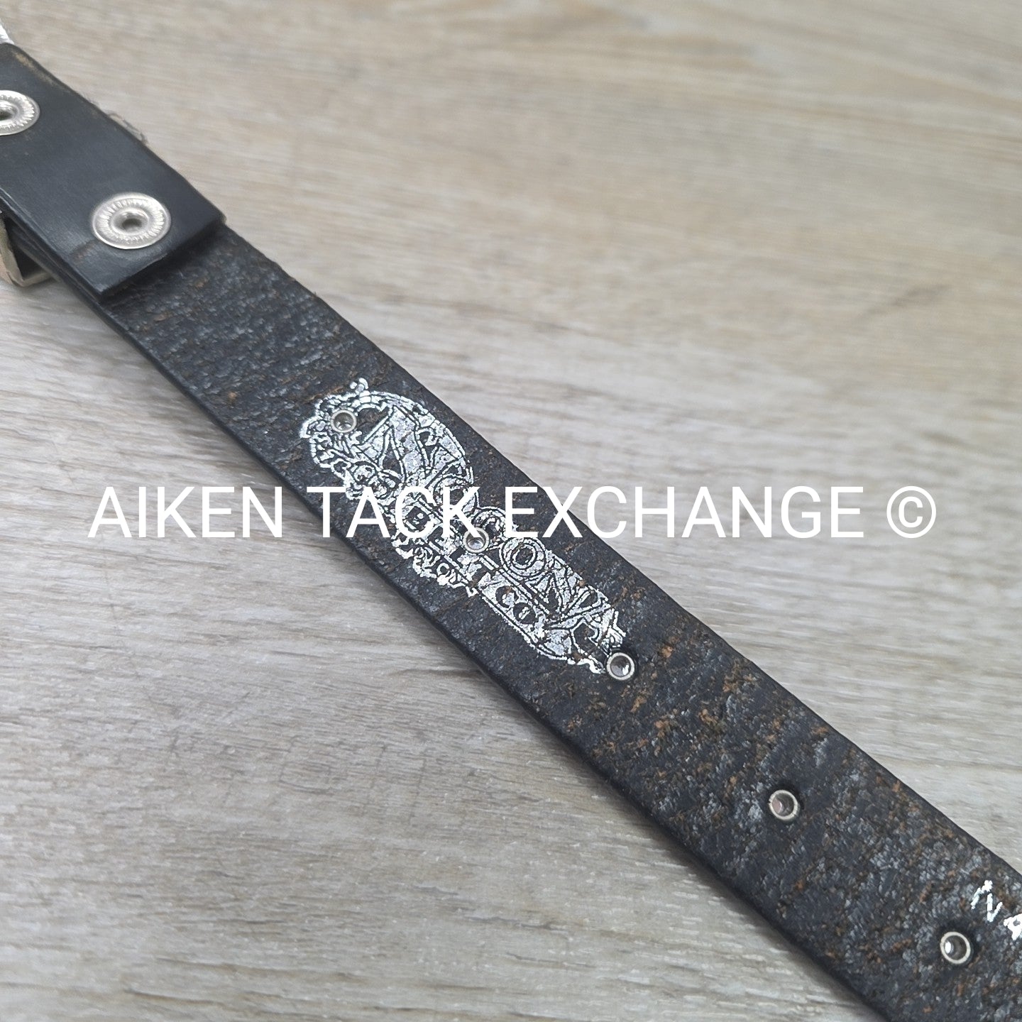 Nocona Leather Belt, 26