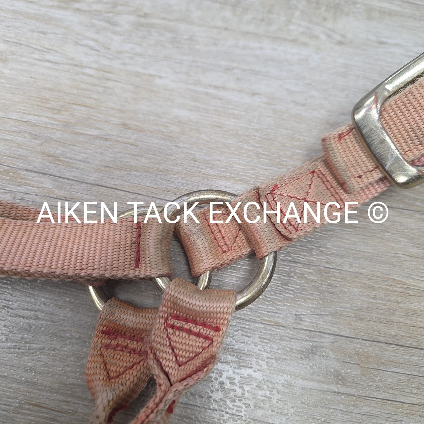 BARGAIN BUNDLE: Nylon Halter, Size Small with Lead Rope