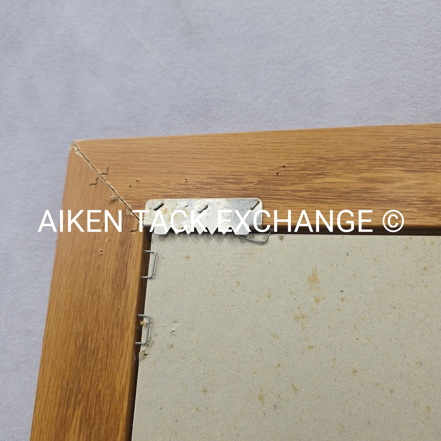 Fox Artwork, 19" x 23.5"