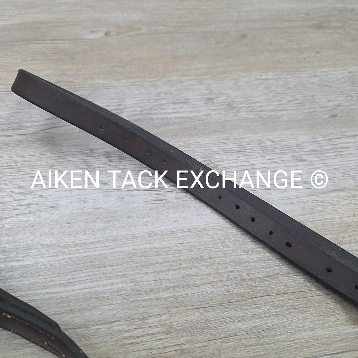 Horse Country First Flight Standing Martingale, Brown, Oversize