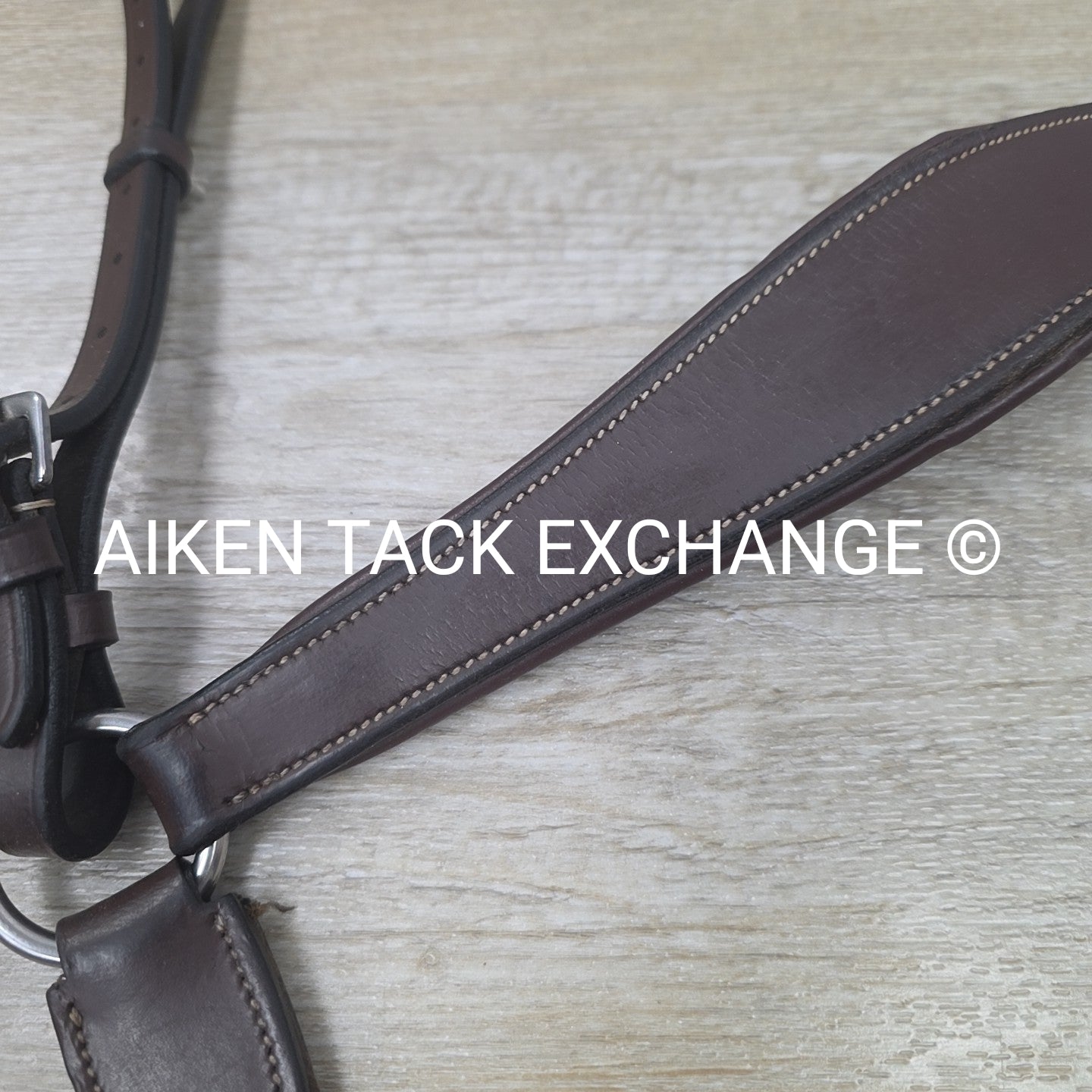 HDR Pro 5 Point Elastic Breastplate, Brown, Size Full