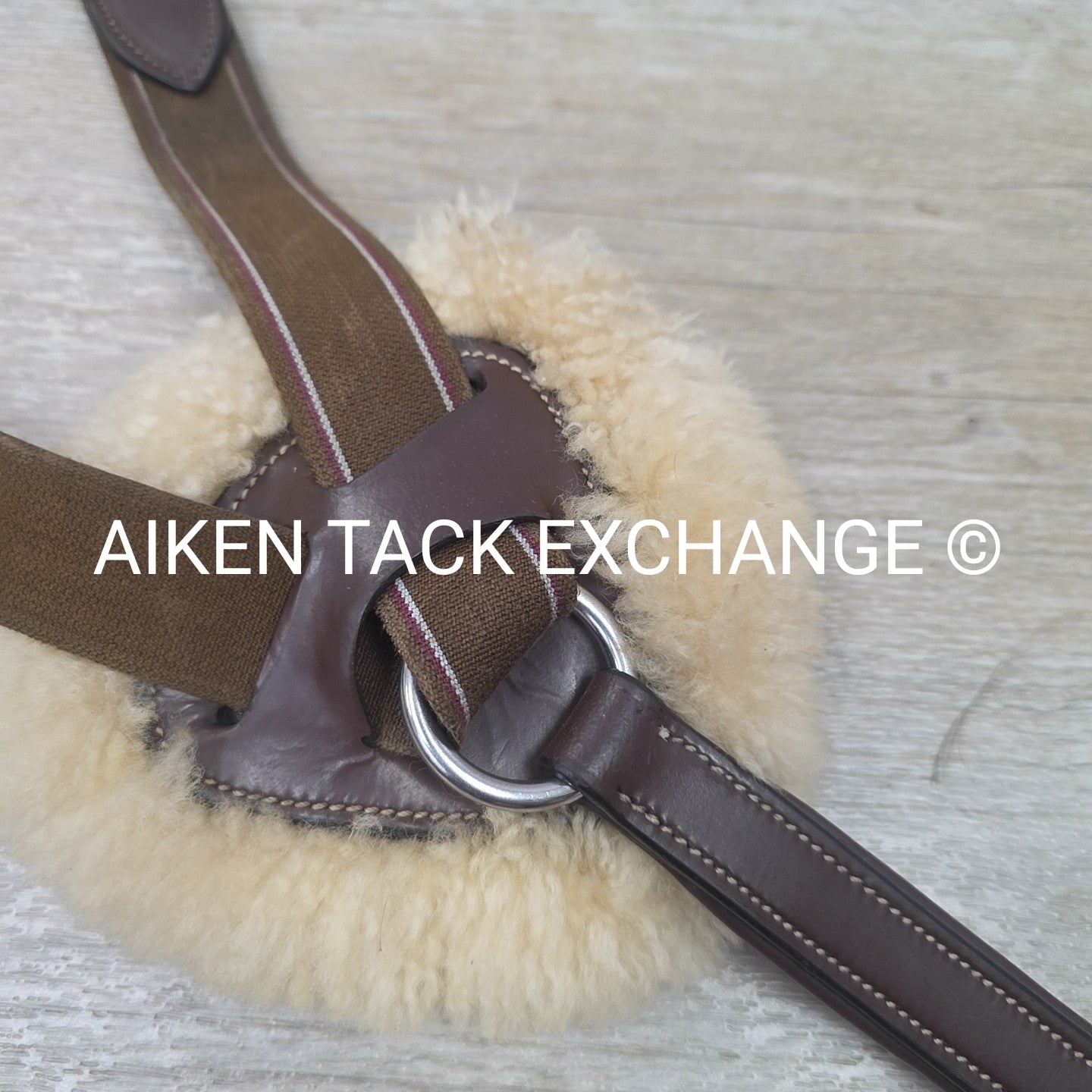 HDR Pro 5 Point Elastic Breastplate, Brown, Size Full