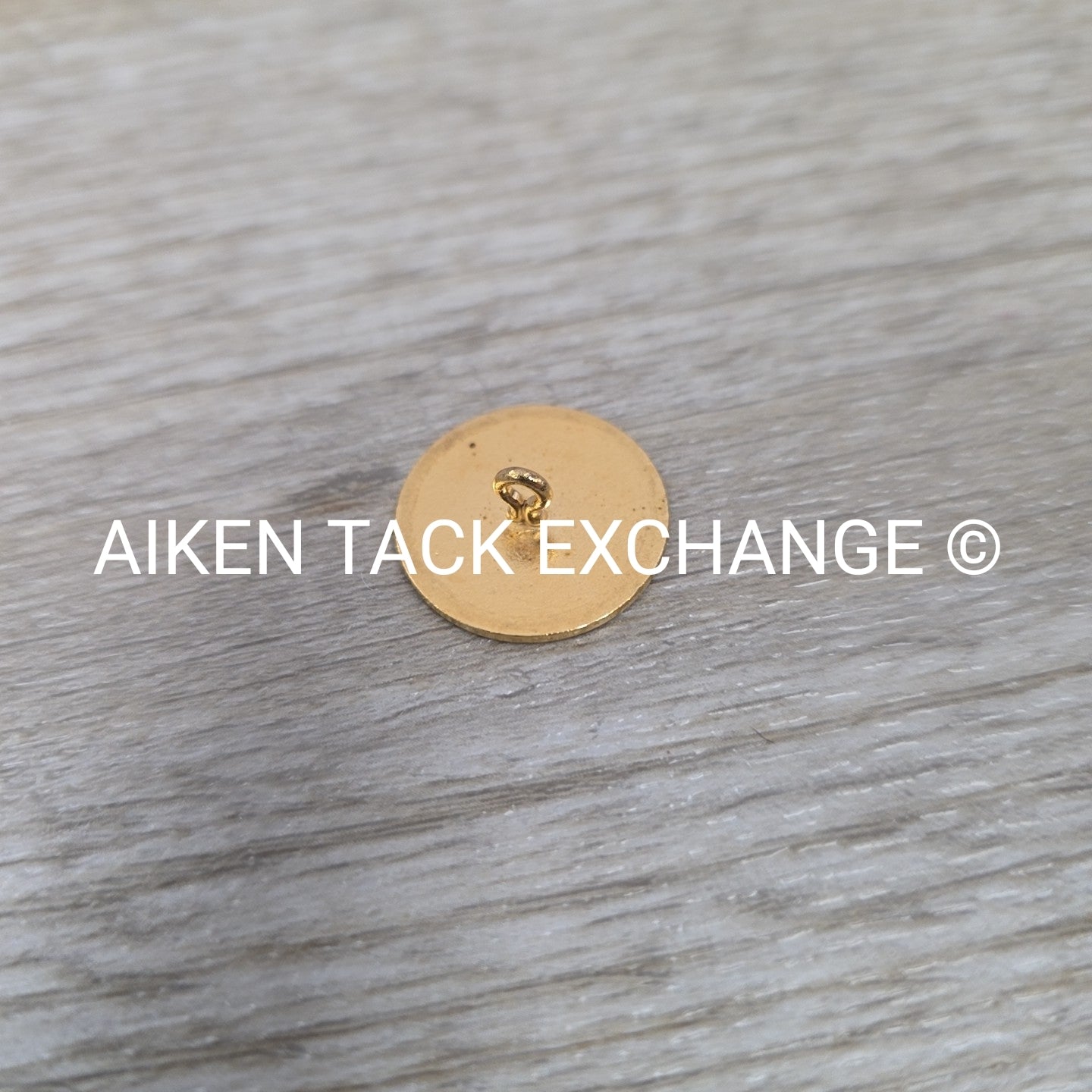 Tryon Hounds Brass Button, Large